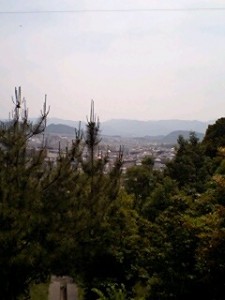 img20070523_t
