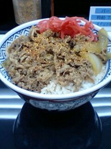 img20070611_3_p